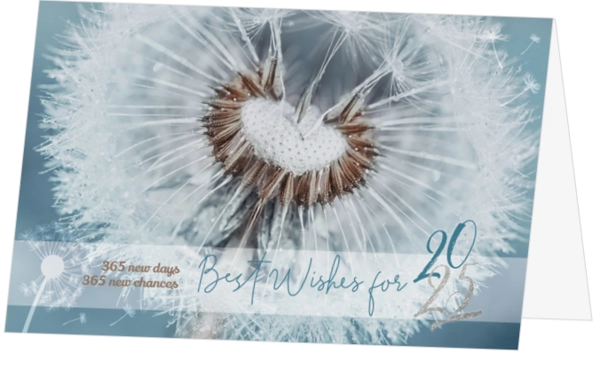 Kerstkaart - Make a wish 2025