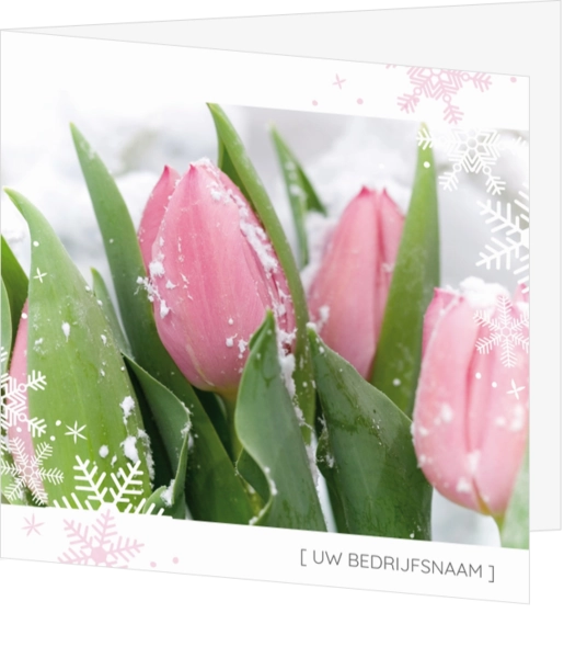 Kerstkaart - Besneeuwde roze tulpen