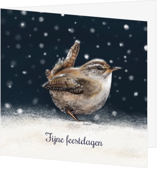 Kerstkaart met tekening vogeltje winterkoninkje