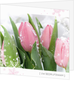 Kerstkaart - Besneeuwde roze tulpen