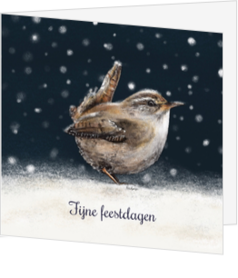 Kerstkaart met tekening vogeltje winterkoninkje