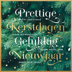 Kerstkaart 93.041